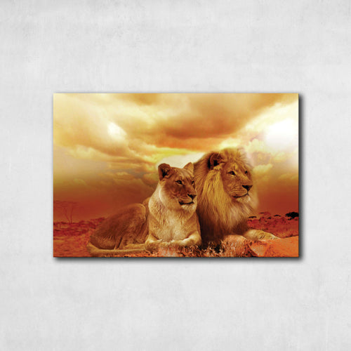 Lion Love Canvas Wall Art